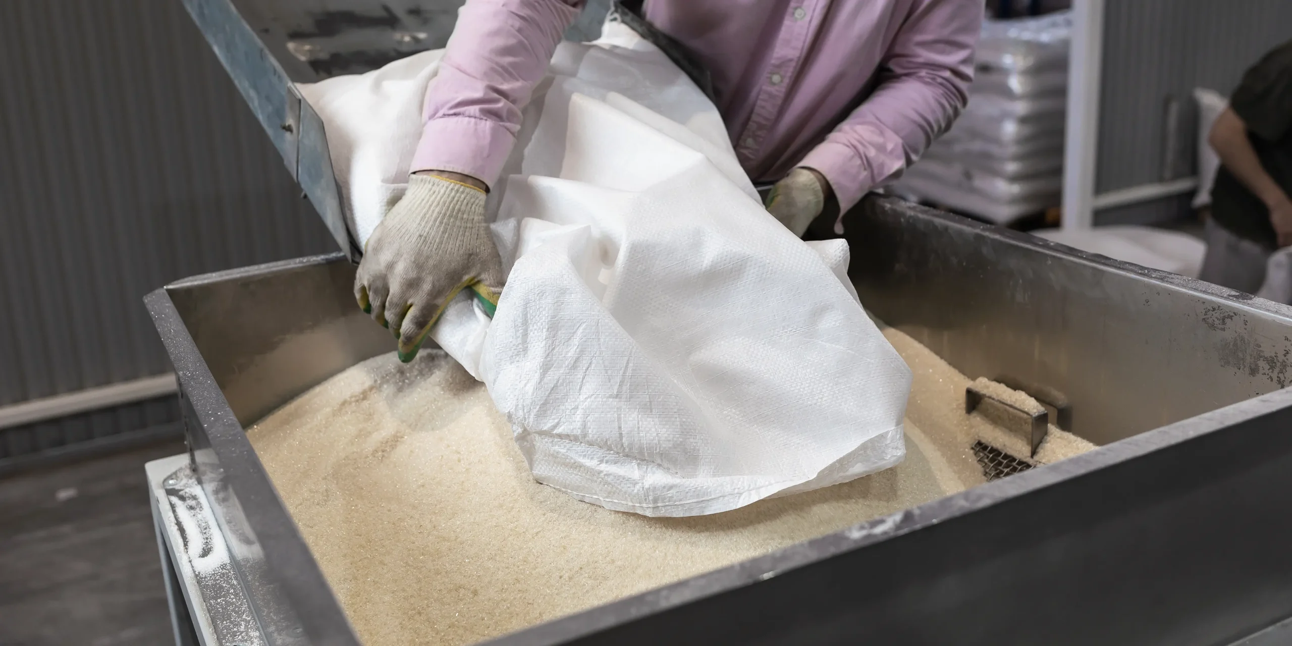 Worker pours a bag of sugar onto a conveyor line