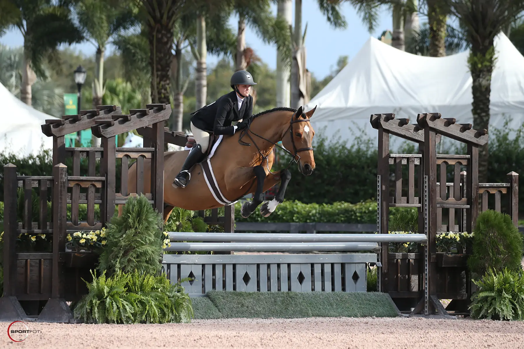 Danielle Herderhorst jumping horse