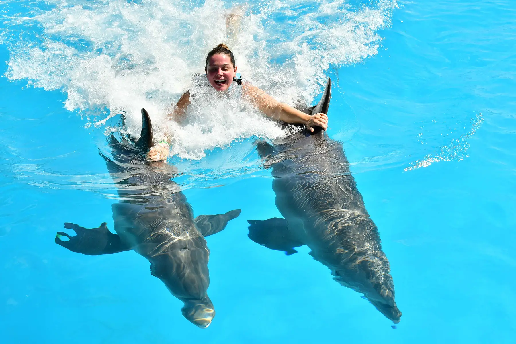 Maddie swimming with dolphins